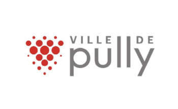 pully